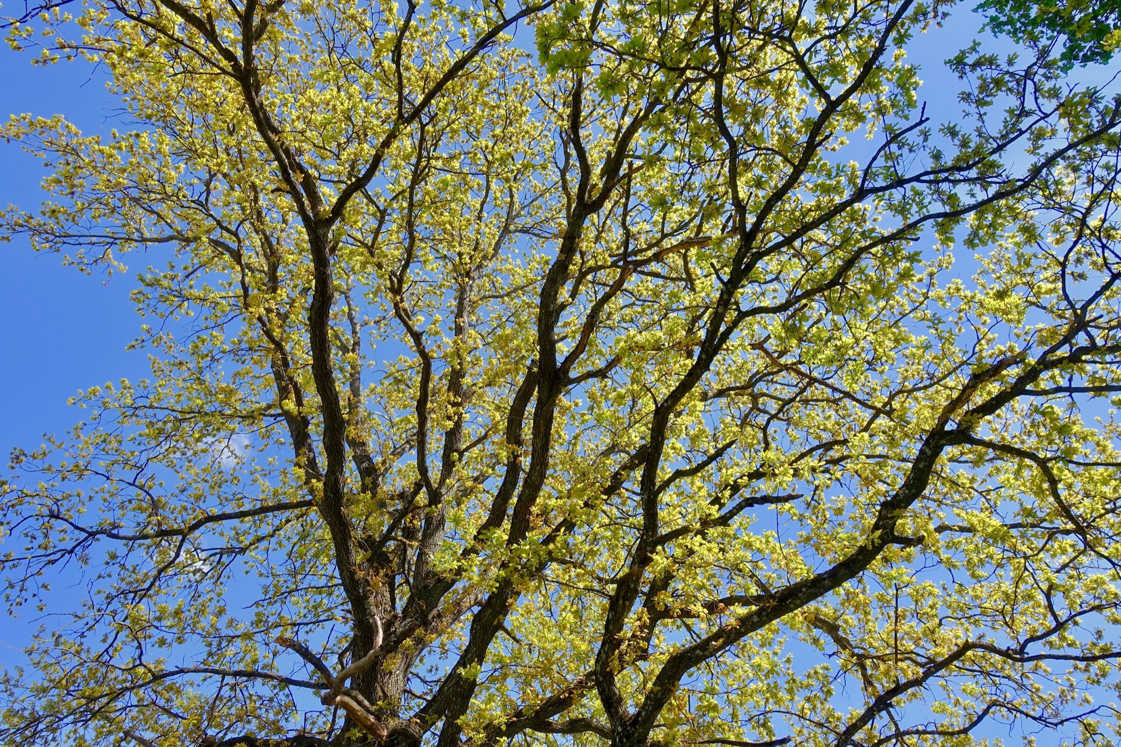 Nature en Vendée
